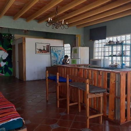 Hostal Enjoy Vallarta 19 Puerto Vallarta Eksteriør bilde